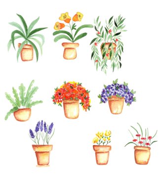 Hediye kartları için ev içi suluboya çiçek seti. Suluboya el çizimi