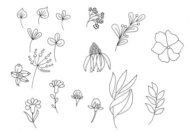 Çiçekler ve çizimler hediye kartları için tasarlandı. Siyah el çizimi tasviri