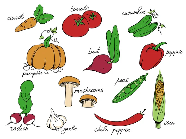 Conjunto de verduras — Archivo Imágenes Vectoriales
