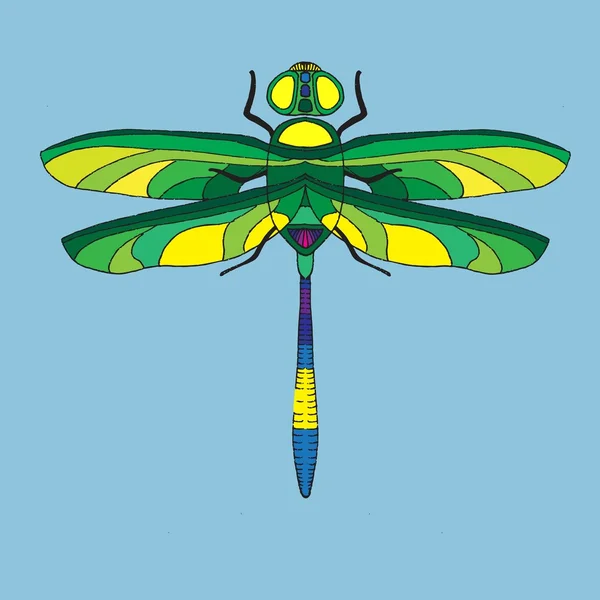 Multicolor dragonfly illustration — Stock vektor