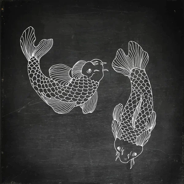 Pesce gatto vettoriale immagine frutti di mare — Vettoriale Stock