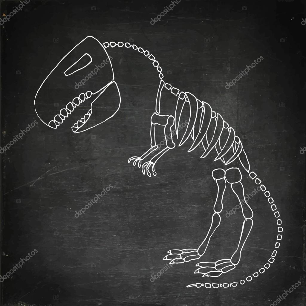 Tiranossauro rex esqueleto desenhado à mão ilustração vetorial em fundo  branco