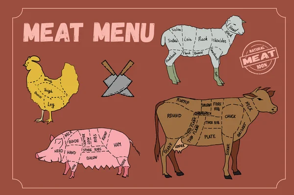 W menu mięso. Zestaw symboli, wołowina, wieprzowina, kurczak, jagnięcina. Ilustracja wektorowa — Wektor stockowy