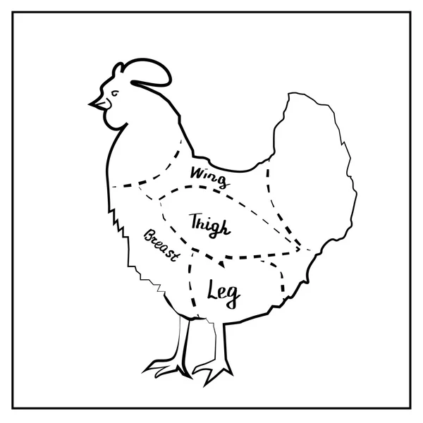 Menù di carne. Set di simboli: manzo, maiale, pollo, agnello. Illustrazione vettoriale — Vettoriale Stock