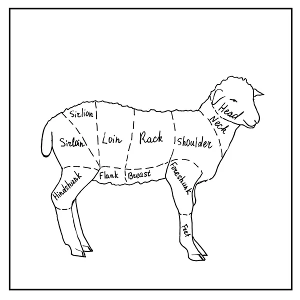 Fleischmenü. Symbolset, Rind, Schwein, Huhn, Lamm. Vektorillustration — Stockvektor