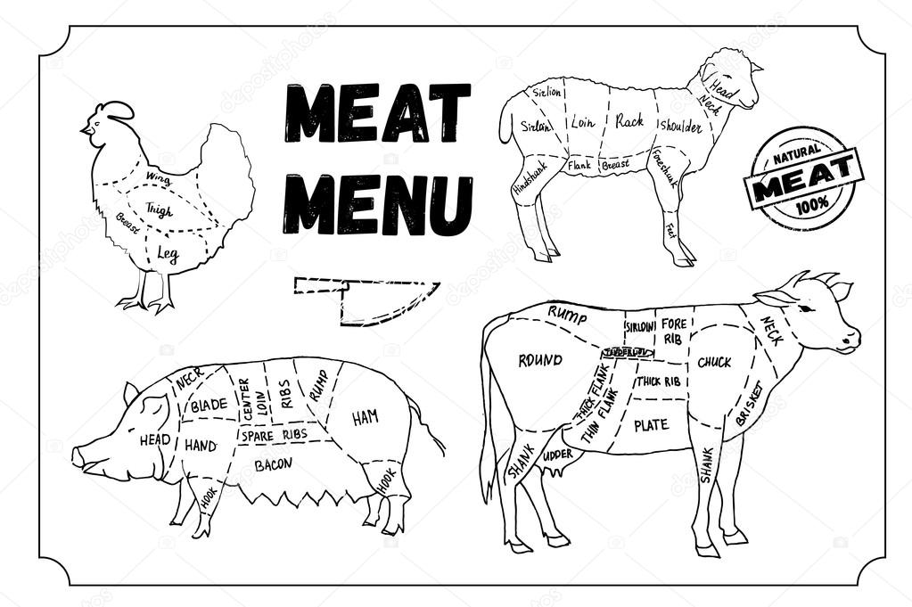 Meat menu. Set of  symbols, beef, pork, chicken, lamb. Vector Illustration