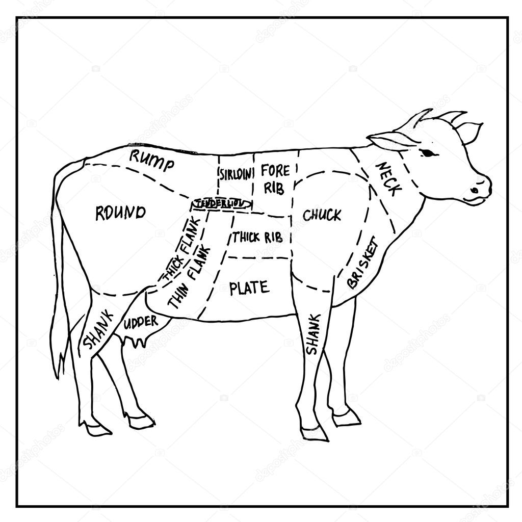 Meat menu. Set of  symbols, beef, pork, chicken, lamb. Vector Illustration