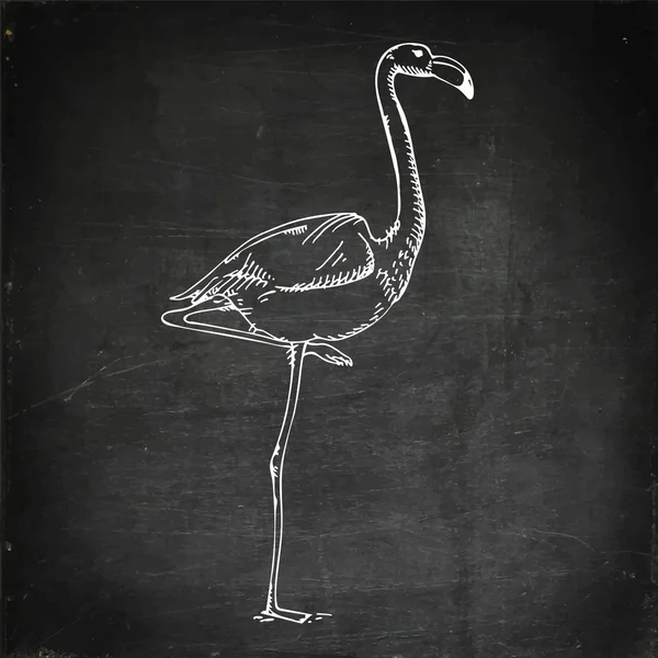 Cooles Flamingo-Design — Stockvektor