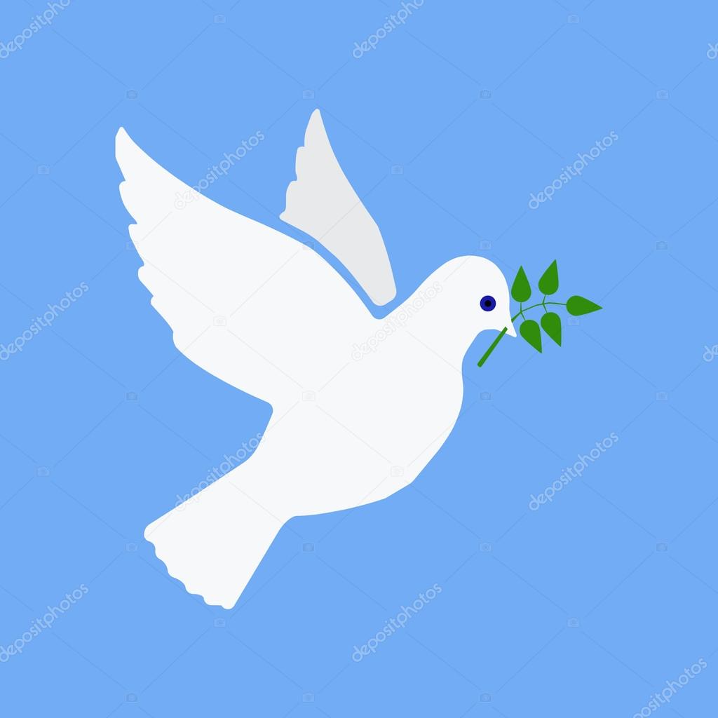 Dove of peace flying with a green twig olive