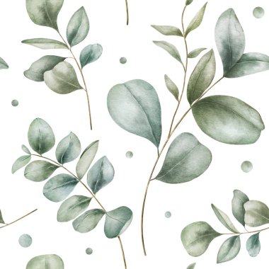 Okaliptüs dallı suluboya desenli. Ev içleri için elle çizilmiş bir çizim. Ev yapımı tekstil, kapak ve ambalaj kağıdı için mükemmel..