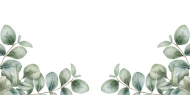 Beyaz arka planda izole edilmiş okaliptüs dallarının dekoratif çerçevesinin suluboya çizimi. Zarif botanik öğesi düğün davetiyeleri için mükemmel tebrik kartları ve çiçek tasarımı projeleri.