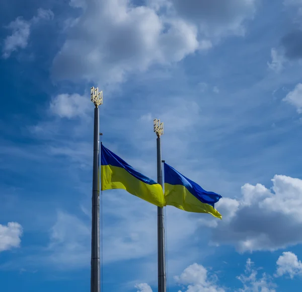 Rüzgarda dalgalanan Ukrayna bayrağı