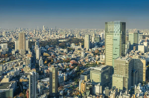 Skyline of Tokyo Cityscape, Japão — Fotografia de Stock