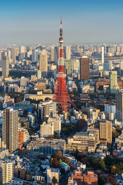 Panoramę gród Tokio z Tokio wieża o zachodzie słońca, Japonia — Zdjęcie stockowe