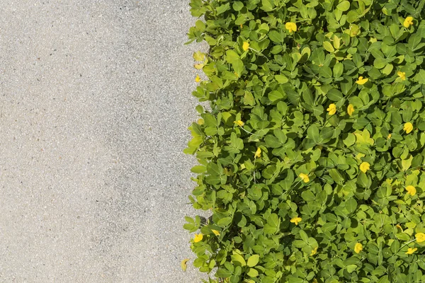 砂利のテクスチャと背景として草のストリップ — ストック写真