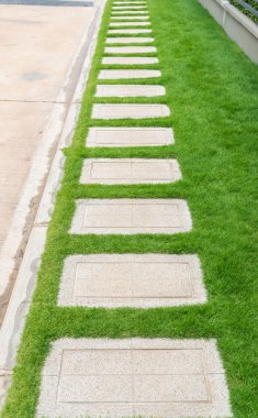 Bahçedeki taş geçit.