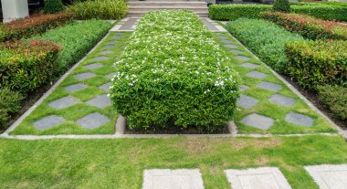 Gravel texture and strip grass in garden clipart