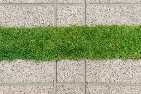 Grind textuur en strook gras als achtergrond — Stockfoto