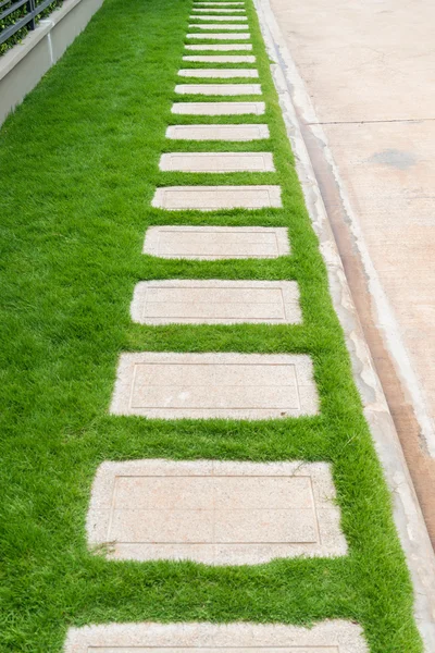 Camminamento in pietra nel giardino — Foto Stock