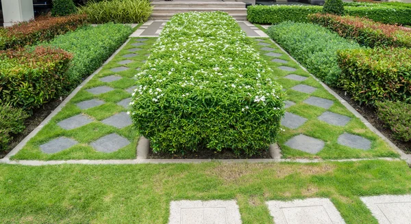 Ghiaia texture e striscia erba in giardino — Foto Stock