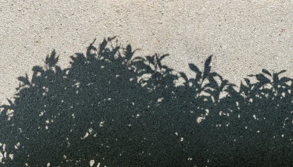 Sombra de árbol en la textura de grava como fondo — Foto de Stock