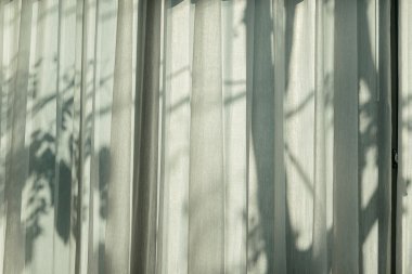 ağaçlar gölge gri perde üzerinde