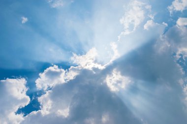 yapraklara ile mavi gökyüzünde bulutlar