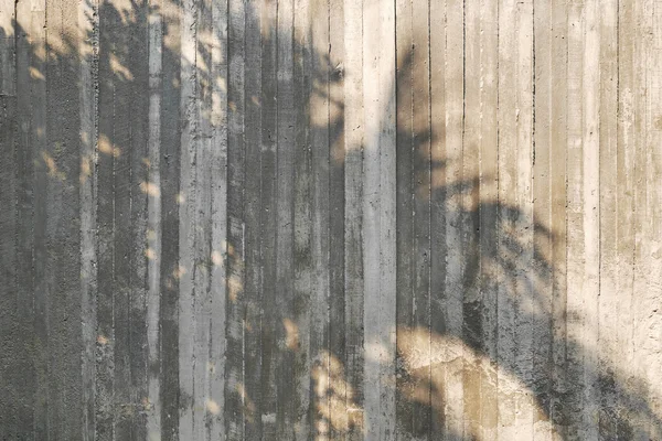 Sombra del árbol en la pared de hormigón crudo con textura de encofrado de madera — Foto de Stock