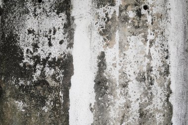 grunge doku ve moss yeşil algler, doku ile beton duvar