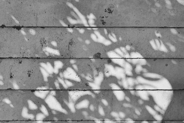 Тень дерева на бетонной стене с деревянной текстурой опалубки — стоковое фото