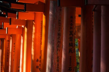 Close-Up Torii kapılarında Fushimi Inari tapınak Kyoto, Japonya