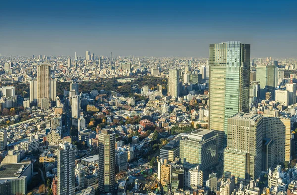 Skyline of Tokyo Cityscape, Japão — Fotografia de Stock