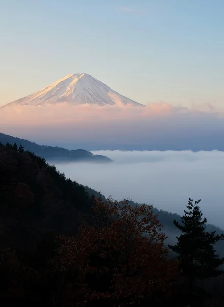 Belo tiro do Monte Fuji com mar de névoa em primeiro plano — Fotografia de Stock