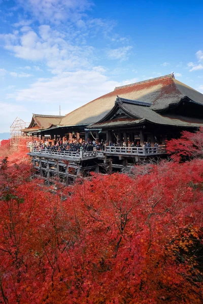 Templo Kiyomizu-dera con hojas rojas en primer plano — Foto de Stock