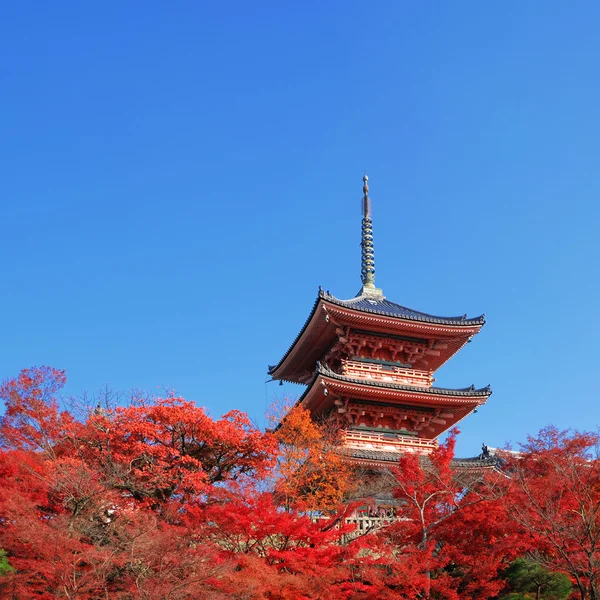 La Pagoda en el templo Kiyomizu-dera con coloridas hojas rojas — Foto de Stock