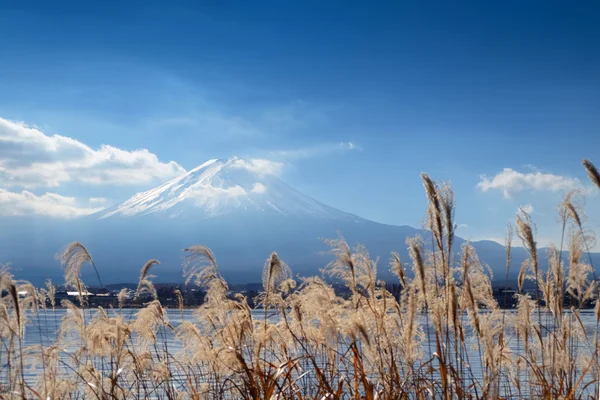 A következő reptér környékén: lake Kawaguchi a Mount Fuji gyönyörű hely háttér — Stock Fotó