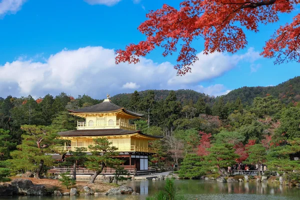 Gouden Pavilian Kinkakuji tempel met rode esdoorn bladeren — Stockfoto