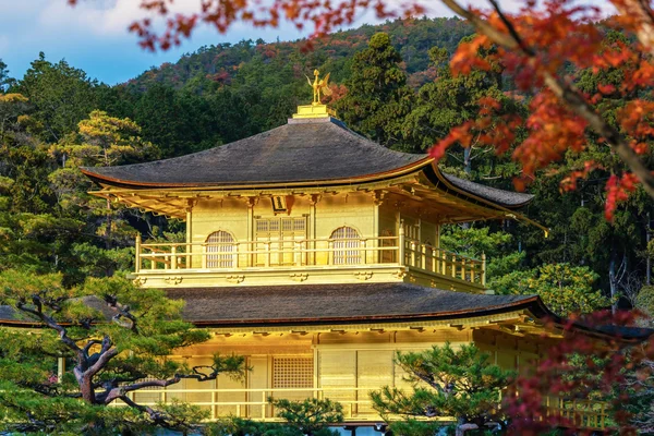 Kuil Kinkakuji (Paviliun Emas) dengan maple musim gugur di Kyot — Stok Foto