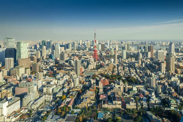 Skyline of Tokyo Cityscape com Torre de Tóquio, Japão — Fotografia de Stock