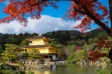 Kinkakuji Tapınağı (Golden Pavilion) ile sonbahar akçaağaç Kyoto