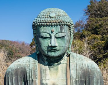 Daibutsu - büyük Buda Kotokuin tapınağın Kamakura, Kanagawa, Japonya