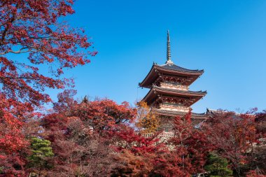 Kiyomizu-dera Tapınağı Sonbahar sezonu, Japonya