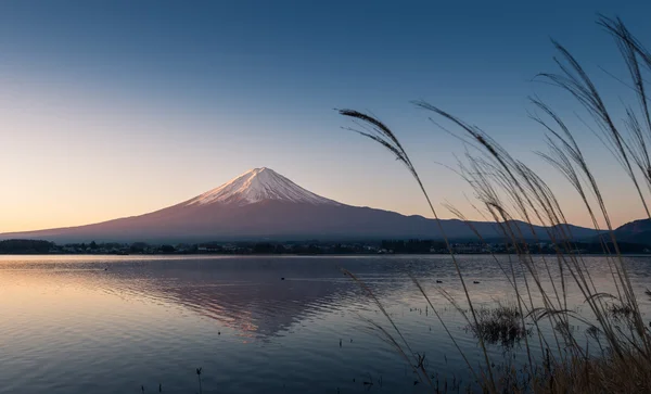 Fuji de montagne et réflexions sur le lac Kawaguchi à l'aube — Photo
