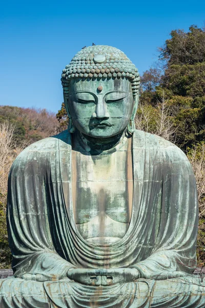 Daibutsu - büyük Buda Kotokuin tapınağın Kamakura, Kanagawa, Japonya — Stok fotoğraf