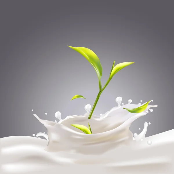 Melk, yoghurt spatten, groene thee vector concept — Stockvector