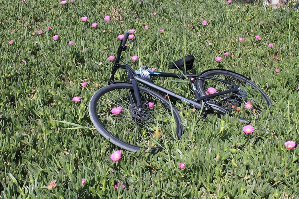 Çimlere yatan Bisiklet
