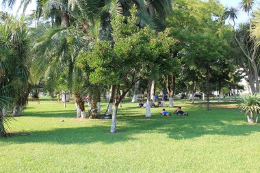 Turistler rahatlatıcı parkta çim