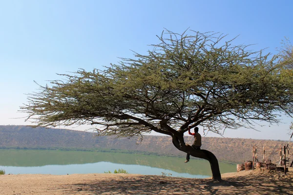 Hindistan. Lonar Gölü