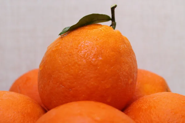 Large. orange with leaf — Stock Photo, Image