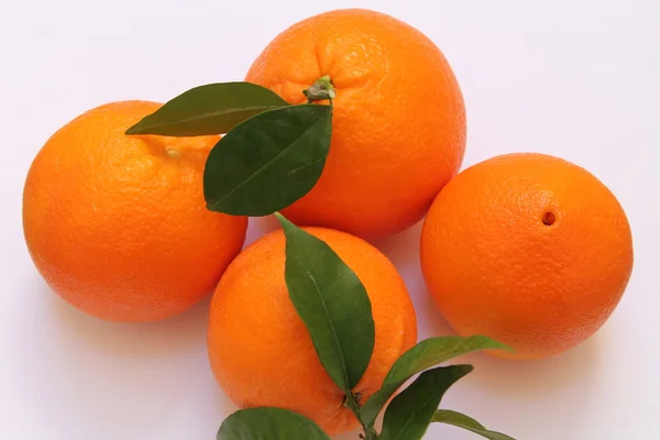 Citrus. large oranges — Stock Photo, Image